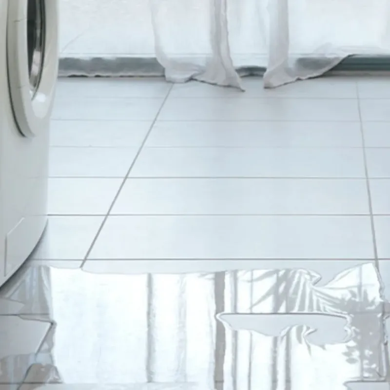 Appliance Leak Cleanup in Toluca, IL
