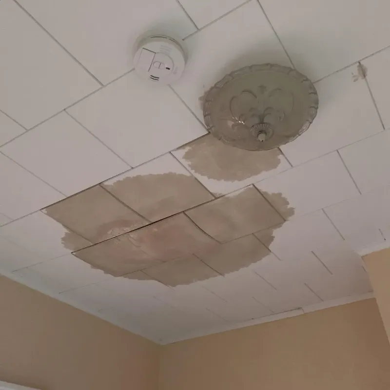 Ceiling Water Damage Repair in Toluca, IL