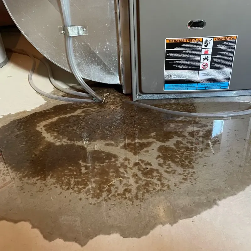 Pipe Burst and Leak Restoration in Toluca, IL