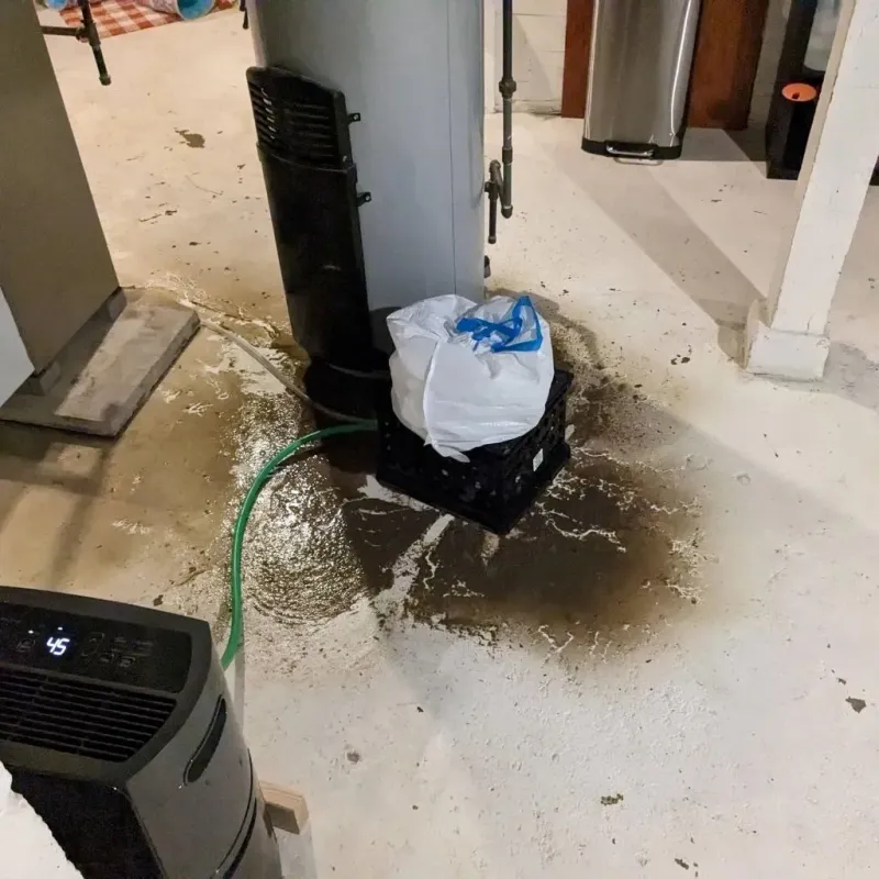 Sewage Backup Cleanup Service in Toluca, IL
